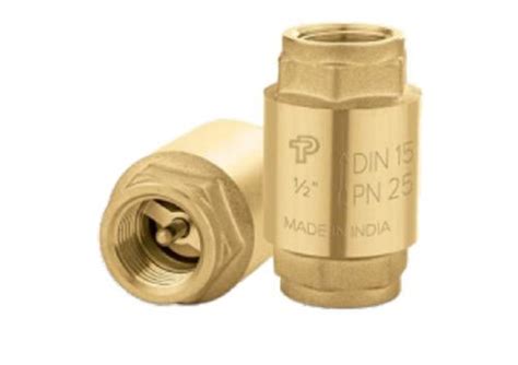 Anti Rust Brass Vertical Check Valve At Best Price In Surat Poline Technologies Pvt Ltd