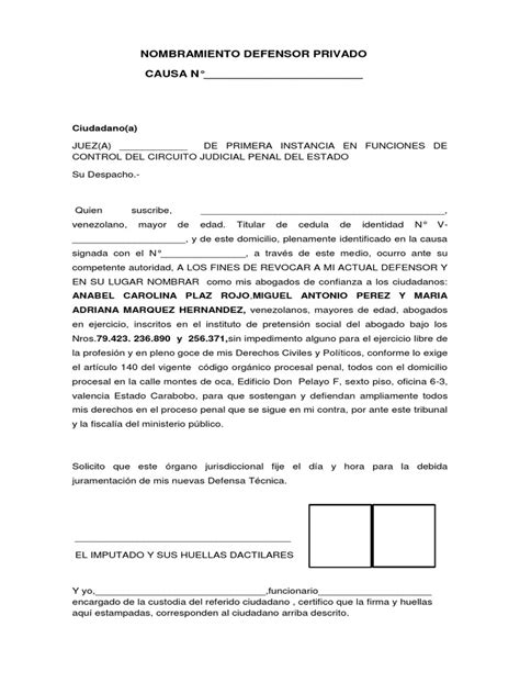 Nombramiento Defensor Privado Pdf Ley Procesal Jurisdicción