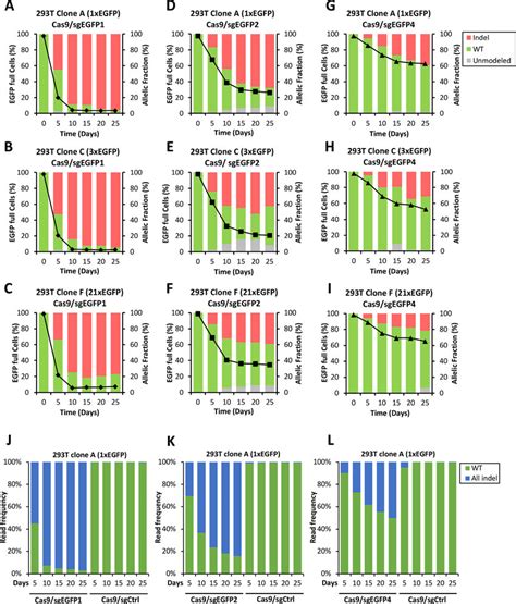 Mutant Egfp Allelic Frequency Is Primarily Determined By Sgrna Potency