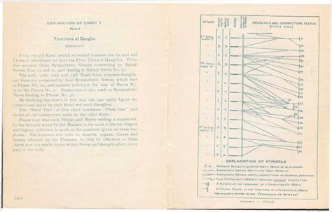 Magnum Opus Aeternam Grau Amorc