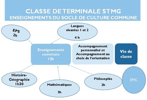 Série STMG Lycée