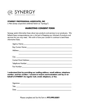 Fillable Online Synergy Marketing Associates Form Fax Email Print