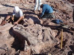 Participacion En Las XXIII Jornadas Argentinas De Paleontologia De