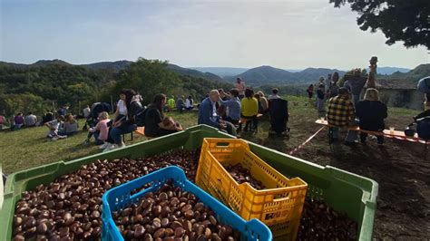 Festa Dei Marroni Combai 2023 Sagre Provincia Di Treviso