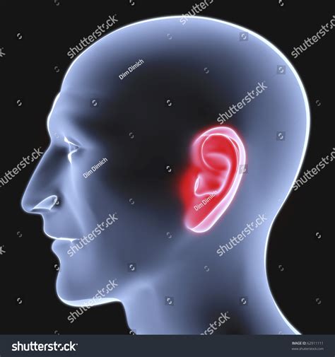 Head Of A Man Under The X Rays Ear Is Highlighted In Red Stock Photo