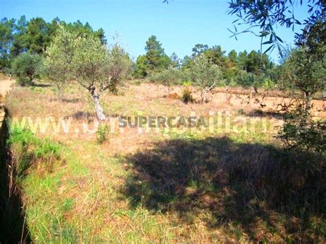 Quintas e casas rústicas Quintinha T1 à venda em Freixial e Juncal do