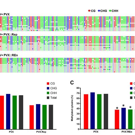 Post Transcriptional Gene Silencing Ptgs Suppressor Silencing Download Scientific Diagram