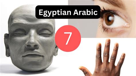 Egyptian Arabic Lesson Parts Of The Body Youtube