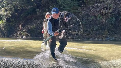 Investing In Our Environmental Future Santa Cruz Fly Fishing Club