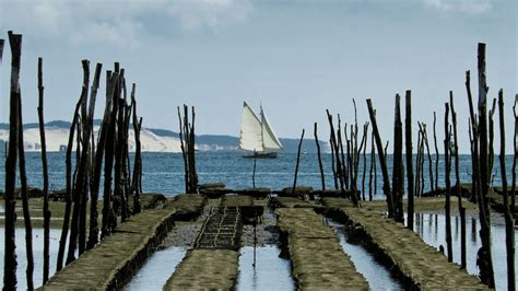 D Couvrez L Histoire Du Bassin D Arcachon H Tel Point France