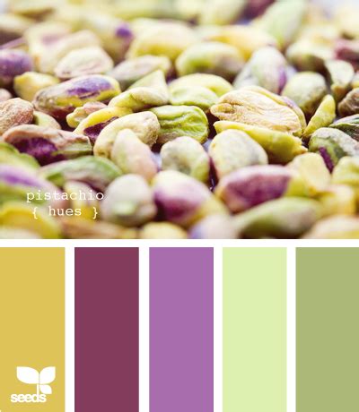 Color Palette For Home Colour Pallette Color Palate Colour Schemes