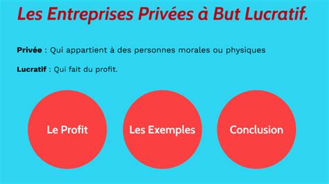 Les Entreprises Priv Es But Lucratif By Gaetan Lory On Prezi