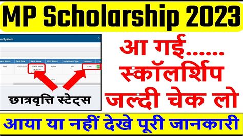 How To Check Scholarship