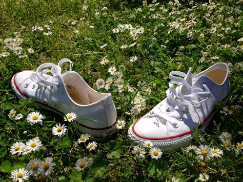 Cocok Untuk Pria Maupun Wanita Inilah 15 Rekomendasi Sepatu Converse