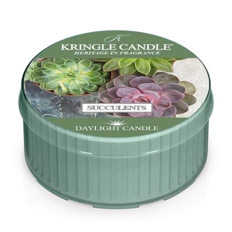 Kringle Candle Succulents Daylight G