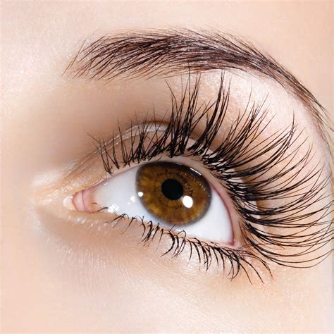 Eyelash Tint | The Urban Rooms | Nottingham Beauty Salon and Spa