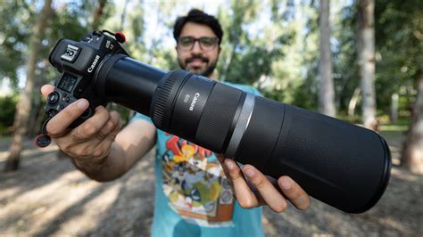 Best Budget Wildlife Photography Lens Canon Rf Mm F Lens Review