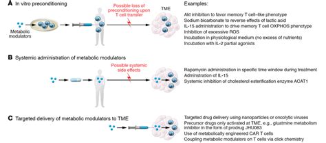 Metabolic interventions in cancer immunotherapy. Three main scenarios ...