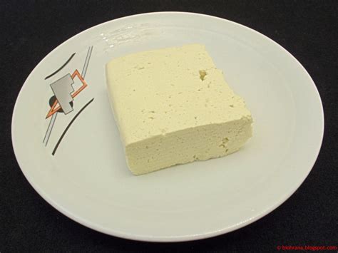 Makrobiotička ishrana - Recepti: Tofu - sir od soje
