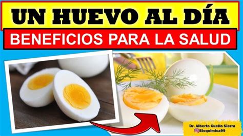 Descubre los sorprendentes beneficios de la proteína en un huevo duro