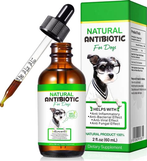 Dog Antibioticsantibiotics For Dogs Natural Dog Antibiotics Supports