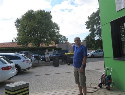 Secrets of Asian hornets' nests - Vita Bee Health