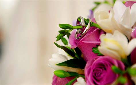 🔥 Free Download Wedding Rings On Flowers Bouquet Hd Wallpaper By