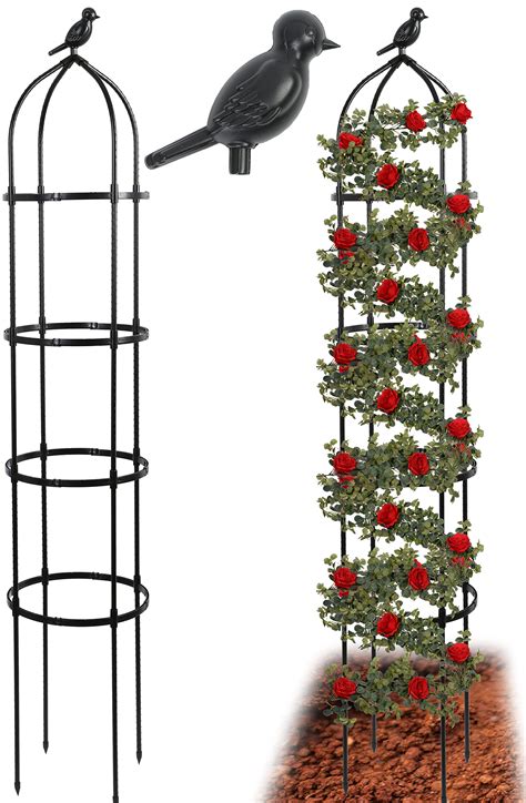 Mua Tcbwfy Obelisk Trellis For Climbing Plants Ft Tall Metal Garden