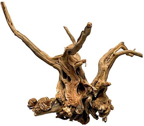 Pinvnby Natural Large Driftwood For Aquarium Review