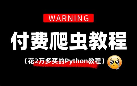 【爬虫vip教程】23年最通俗易懂的python爬虫逆向进阶解析，比啃书效果强1 哔哩哔哩