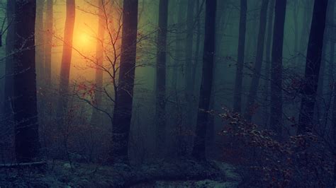 Blurry Wallpaper Hd Free Download
