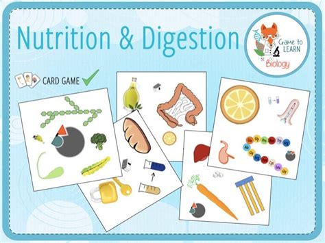 Nutrition And Digestion 20x Activities And Games Ks34 Teaching