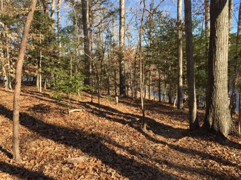 10 Best Trail Running Trails In Wake Forest Alltrails