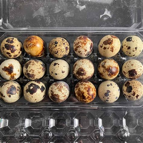 How Long To Boil Quail Eggs How To Cook Quail Eggs 5 Ways