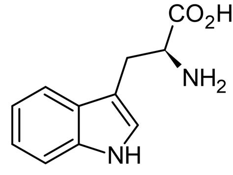 L Tryptophan Essential Amino Acid Cas 73 22 3 Ab146400 Abcam India