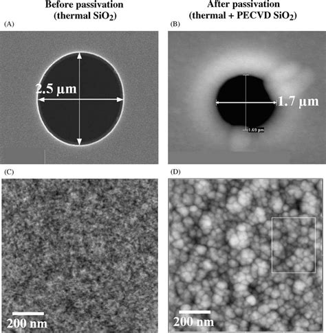 Cell Patch Site Made Of Thermal Sio 2 Left Column And Pecvd Sio 2 Download Scientific Diagram