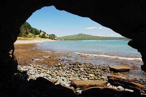 About Rangitoto - Rangitoto Island Historic Conservation Trust