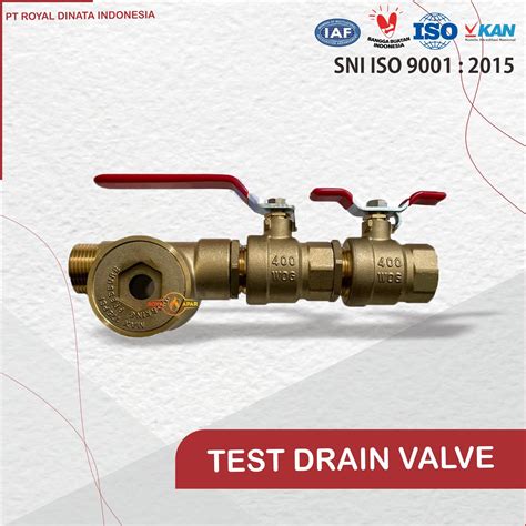 Test Drain Valve Royal Apar