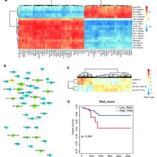 Analysis Of Lncrna Mrna Network And Lncrna Mirna Mrna Crosstalk A