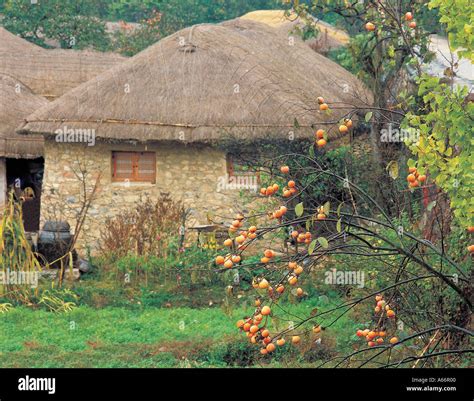 Korean Traditional Scenery Stock Photo - Alamy