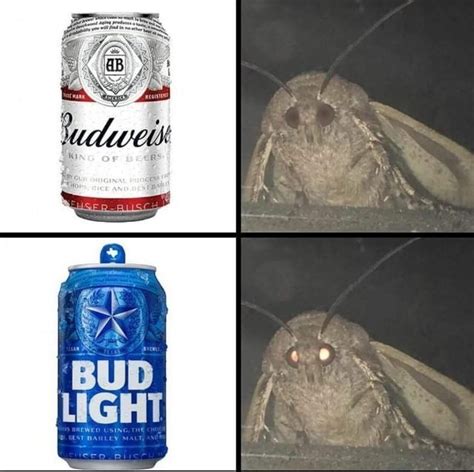 Moth and Bud Light - Meme by MaddyTheMadCow :) Memedroid