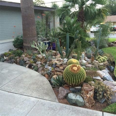 19 Breathtaking Cactus Garden Ideas That Will Stun You