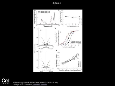 Melanopsin Based Brightness Discrimination In Mice And Humans Ppt