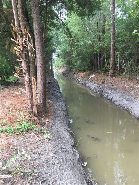 Bridge City Crepe Myrtle Ditch Project Orange County Drainage District