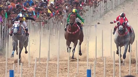 Corrida De Cavalos Em Monsenhor Gil 53 Festa Do Vaqueiro 2023 YouTube