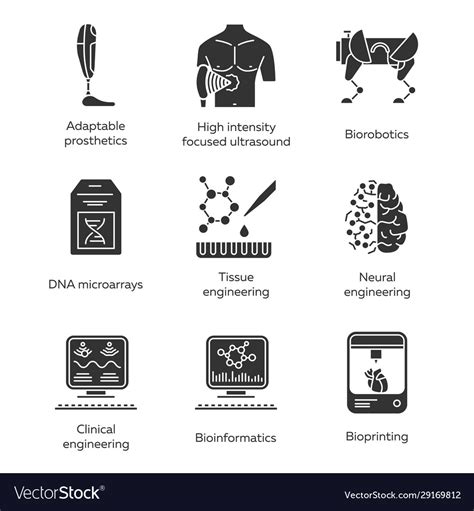 Bioengineering Glyph Icons Set Biotechnology For Vector Image