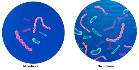 Sabes La Diferencia Entre Microbiota Y Microbioma Bialtec