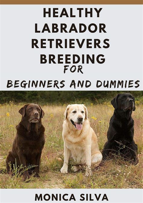 Healthy Labrador Retrievers Breeding for Beginners and Dummies by MÓNICA SILVA | Goodreads