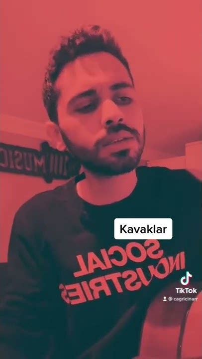 Sezen Aksu Kavaklar Shorts Youtube