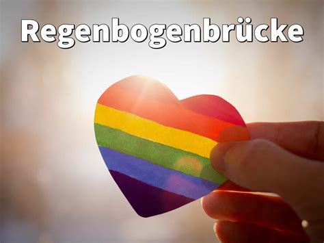 Regenbogenbr Cke Abschied Vom Hund Trauer Und Hundehimmel